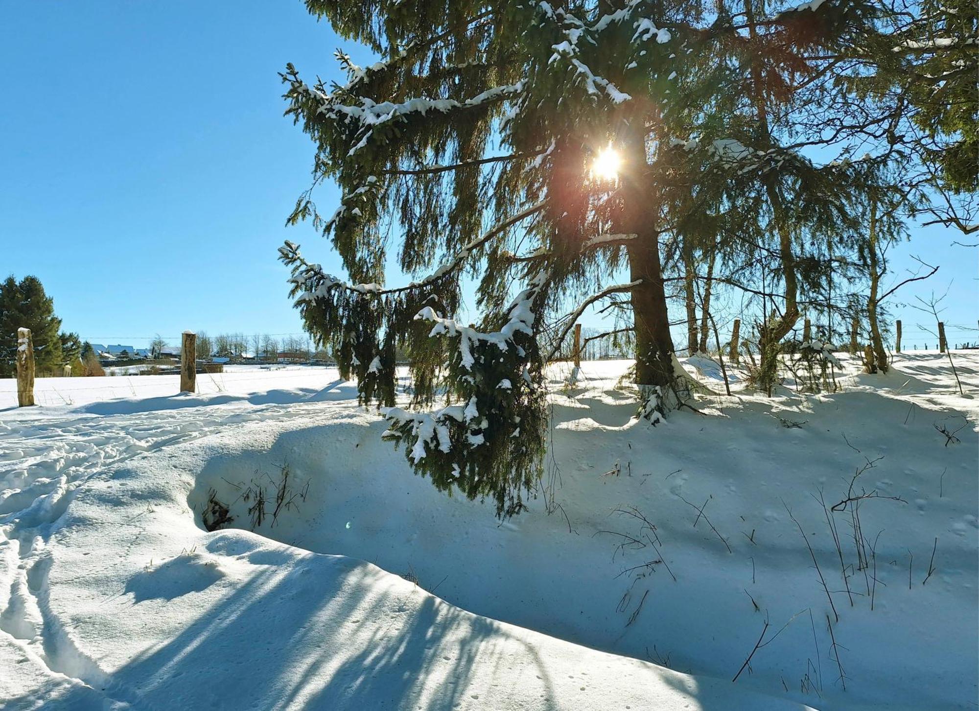 Ferienhaus Am Nationalpark Eifel Dreiborn Екстер'єр фото